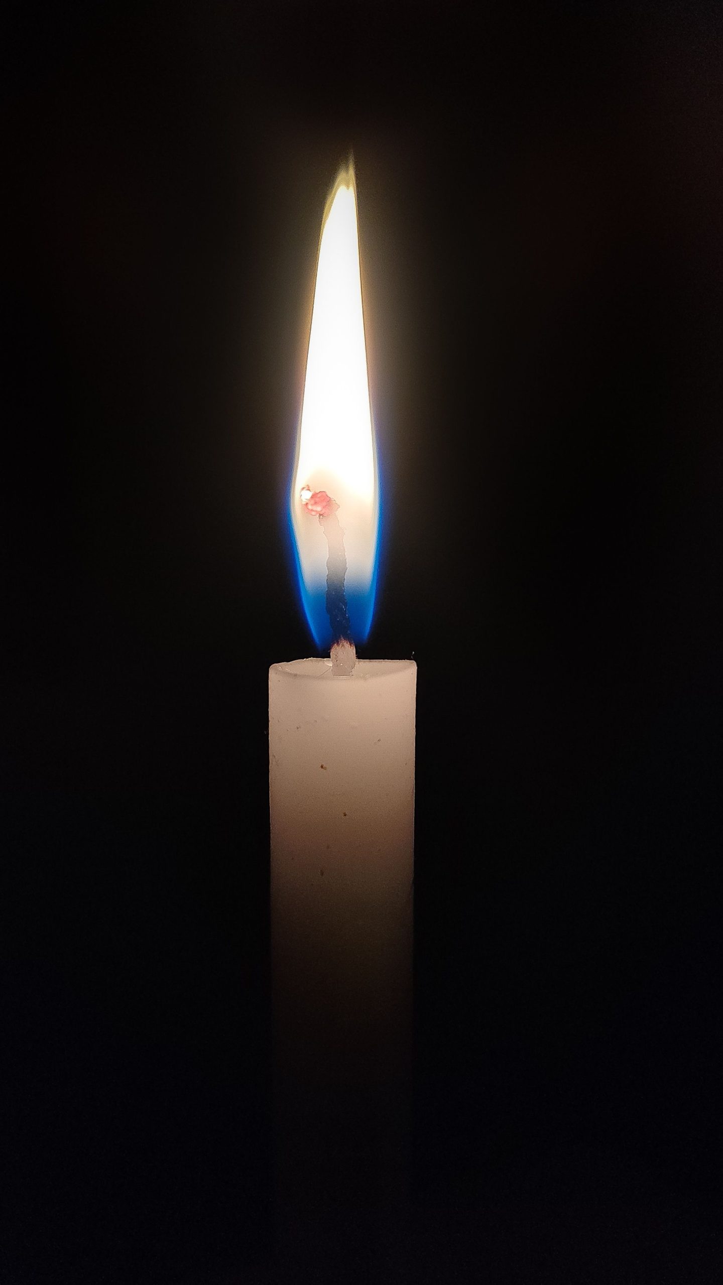 Mit kell tudnunk az augusztus 2-ai cigány holokausztról?